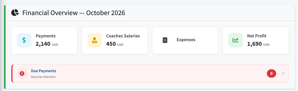 Coacherz financial overview dashboard